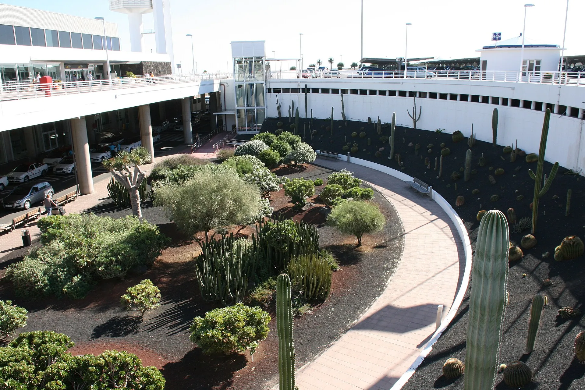 The cactus garden in front of the terminal at Lanzarote airport