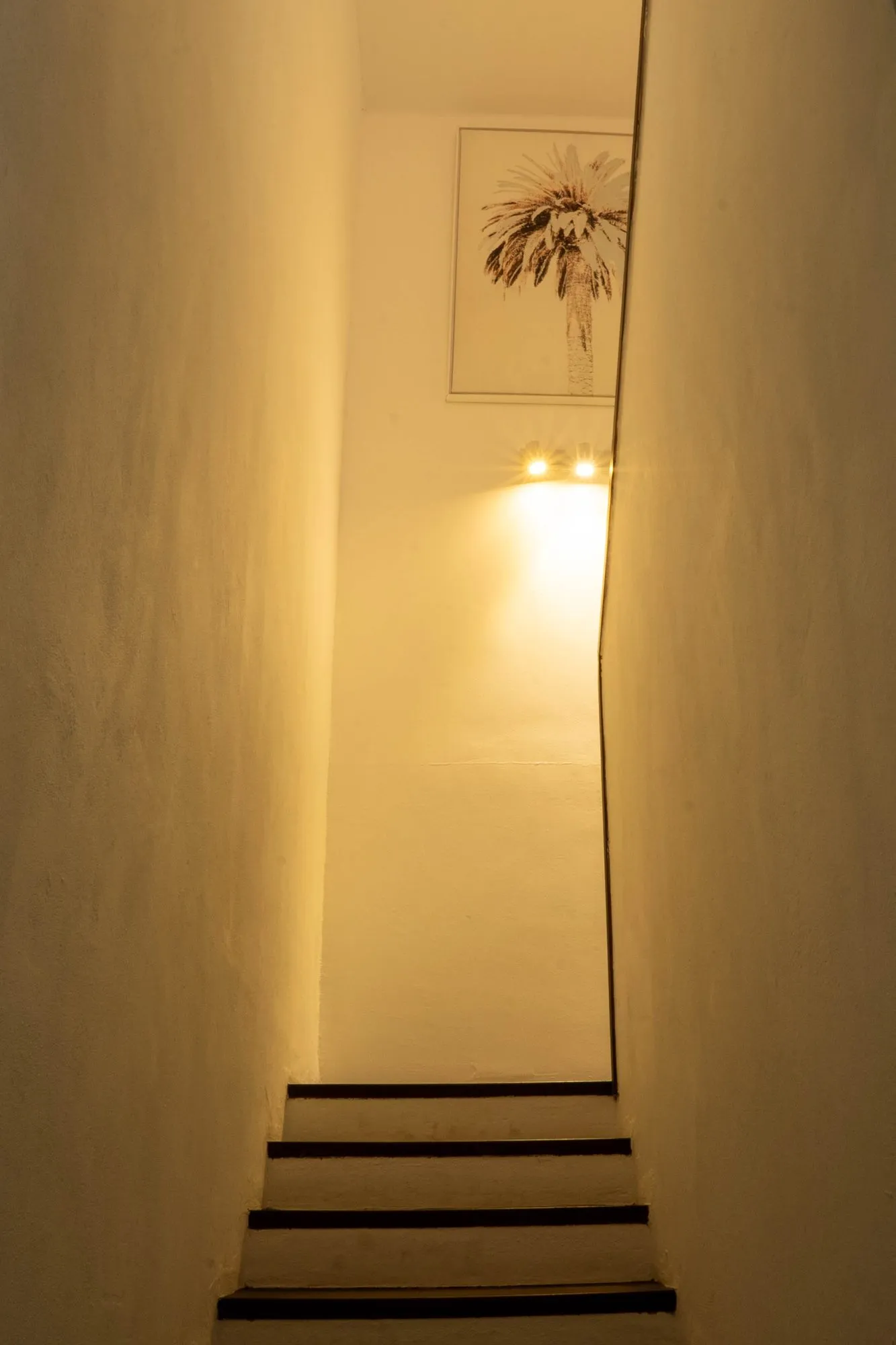 A staircase inside the house